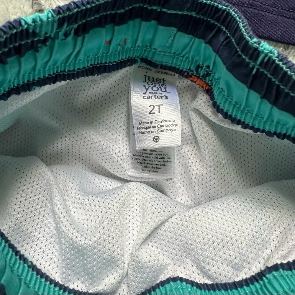 Toddler Swim Bundle size 2T